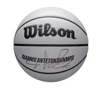 NBA Player Icon UV Basketball - Giannis