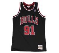 NBA SWINGMAN ALTERNATE JERSEY BULLS 1997 DENNIS RODMAN 24-07-29_23_42