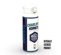 NBA x ION8, Insulated Steel Bottle, Charlotte Hornets, 750ml (24oz)