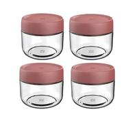 NBBENG Overnight Oats Jar Container,Glass Mason Jars with Lids Overnight Oats Container, Yogurt Pot, Breakfast Pots, Oatmeal Salad Jars, for Cereals Milk Fruit Condiment Dressing red (4-Pack 280ml)