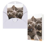 NBCCDVSH Thinking of You Card with Envelopes Funny Cats Greeting Card 4x6 Notecards Happy Birthday Cards Wedding Blank Thank You Cards Baby Shower All Occasion GreetingCards