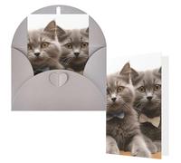 NBCCDVSH Thinking of You Card with Envelopes Funny Cats Greeting Card 4x6 Notecards Happy Birthday Cards Wedding Blank Thank You Cards Baby Shower All Occasion GreetingCards