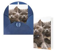 NBCCDVSH Thinking of You Card with Envelopes Funny Cats Greeting Card 4x6 Notecards Happy Birthday Cards Wedding Blank Thank You Cards Baby Shower All Occasion GreetingCards