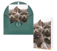 NBCCDVSH Thinking of You Card with Envelopes Funny Cats Greeting Card 4x6 Notecards Happy Birthday Cards Wedding Blank Thank You Cards Baby Shower All Occasion GreetingCards