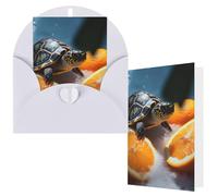 NBCCDVSH Thinking of You Card with Envelopes Turtles emerging from oranges Greeting Card 4x6 Notecards Happy Birthday Cards Wedding Blank Thank You Cards Baby Shower All Occasion GreetingCards