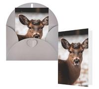 NBCCDVSH Thinking of You Card with Envelopes Wild Animals Deer Greeting Card 4x6 Notecards Happy Birthday Cards Wedding Blank Thank You Cards Baby Shower All Occasion GreetingCards