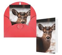 NBCCDVSH Thinking of You Card with Envelopes Wild Animals Deer Greeting Card 4x6 Notecards Happy Birthday Cards Wedding Blank Thank You Cards Baby Shower All Occasion GreetingCards