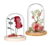 NBEADS 2 Pcs 2 Styles Glass Display Cloche Dome, Clear Glass Dome Large Glass Bell Jar with Wood Base for Plants Collectibles Home Decoration, Arch