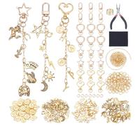 NBEADS 373 Pcs Keychain Making Kit, Including 194 Charms 24 Keychain Clips Brass Paperclip Chains Jump Rings Carbon Steel Pliers Brass Rings Carbon Steel Chain Nose Pliers for DIY Jewelry Making