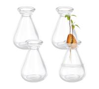 NBEADS 4 Pcs Avocado Seed Starter Vases, Clear Glass Avocado Growing Pot Plant Germination Vases for Growing Acorn Seeds Herbs Indoor Plant Gardening Lover