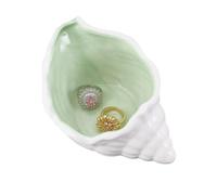 NBEADS Conch Shape Ceramic Jewelry Tray, Aqua Shell Trinket Dish Ceramic Ring Earring Holder Ocean-themed Decorative Trinket Plate for Rings Earrings Necklaces Bracelet Jewelry Keys, Pale Green