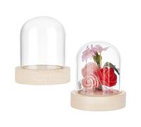 NBEADS Eternal Flower Glass Display Dome Cloche, Glass Display with Solid Wood Base Half Round Glass Jewelry Display Case Bell Jar Cloche for Items Display Home Decoration, 7.1cm High