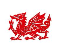 NBEADS Fire Dragon Metal Wall Decor, Red Wall Hanging Decor Iron Silhouette Wall Art for Home Bedroom Living Room Garden Hotel Office Christmas Festival Decoration, 30×19.7cm