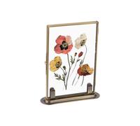 NBEADS Floating Photo Frame, Brass Vintage Glass Pressed Flower Display Frame Tabletop Shelf Photo Decor for Pictures Art Pressed Flowers Preserving, Inner 15x10cm