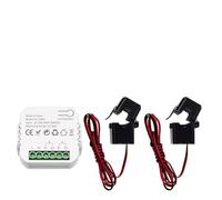 NbgrvB Smart Life ZigBee Energy Monitor for Tuya, 2-Channel Power Meter with CT Sensor Clamp, Remote App Control for Voltage and Current