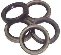 NBR Design C Rotary Shaft Seal 140x170x13mm