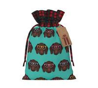 NBRIEU German Shorthair Pointer in Glasses Reusable Gift Bag for Christmas Party Wedding Favors