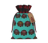 NBRIEU German Shorthair Pointer in Glasses Reusable Gift Bag for Christmas Party Wedding Favors