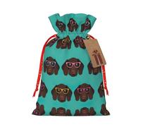 NBRIEU German Shorthair Pointer on Glasses Gift Bag with Drawstring Reusable Gift Bag for Party Wedding