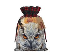 NBRIEU Owl Beliefs Reusable Gift Bag for Christmas Party Wedding