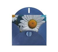 NBSKSDLK Daisy Flowers Greeting Cards All Occasion Blank Note Cards with Envelopes Pop Up Birthday Card Postcards Personalized Thank You Card 4x6 Inch