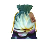 NBSKSDLK Dragonfly with Water Lily Christmas Gift Bags with Tags & Ribbon Ties, Personalized Santa Sack Xmas Treat Pouch Party Favor Bags Drawstring Christmas Sacks for Holiday Presents Storage Small