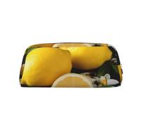 NBSKSDLK Lemon and Flower Makeup Bag for Women Men Pencil Pouch Travel Small Cosmetic Bag Zippered Toiletry Bags Aesthetic Pen Bags Trendy Storage Bags Leather Coin Pouch Purse, Silver, One Size