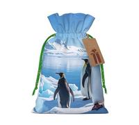 NBSKSDLK Penguin Antarctica Ice Christmas Gift Bags with Tags & Ribbon Ties, Personalized Santa Sack Xmas Treat Pouch Party Favor Bags Drawstring Christmas Sacks for Holiday Presents Storage Small