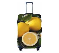 NBSKSDLK Travel Luggage Cover Lemon and Flower Suitcase Protector Anti-Scratch Washable Baggage Covers Elastic Suitcase Cover Tsa Approved Baggage Protector Fit 18-32 Inch Luggage, Black, M