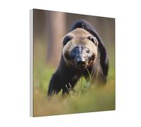 Nbtghga Black And White Honey Badger Print Canvas Wall Decor Picture,Decorative Painting For Bathroom Living Room Bedroom And Kitchen