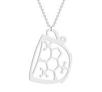NBYGSC 925 Sterling Silver Serotonin Necklace For Women And Men, Dopamine Molecule Necklaces Chemical Formula DNA Necklace Serotonin Structure Formula Pendant Choker Science Biology