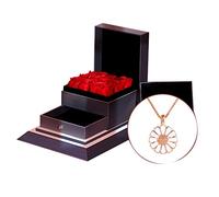 NBYGSC Necklace Little Daisy Necklace Female Clavicle Chain Necklace Girl Temperament Pendant Small Fresh (Gift Box) Ladies Necklace (A B)