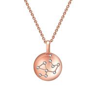 NBYGSC Necklaces for Women Girls Constellation Leo Horoscope Necklace Astrology 12 Constellation Horoscope Sign Astrology Star Necklace Birthday Gifts For Women Girls Choker Necklaces Household