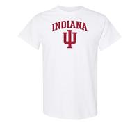 NCAA Arch Logo - NCAA Sports Team Color T Shirt, Indiana Hoosiers White, L