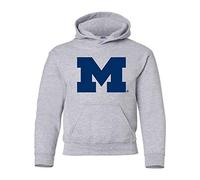 NCAA Primary Logo, Team Color Youth Hoodie, College, University - Grey - Medium