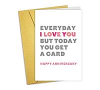 Nchigedy Funny Anniversary Card for Him Her, Happy Anniversary Card for Husband Wife Girlfriend Boyfriend, Everyday I Love You But Today You Get A Card