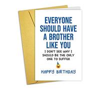 Nchigedy Funny Birthday Card for Brother, Happy Birthday Greeting Card from Sister, Humor Bro Bday Card, Everyone Should Have a Brother Like You