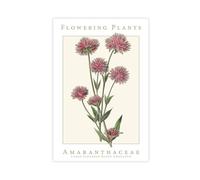 NCUDANK Retro Large Flower Ball Amaranth Canvas Poster Wall Art Decor Print Picture Paintings for Living Room Bedroom Decoration 24x36inch(60x90cm)