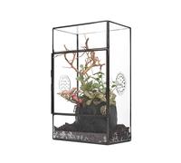 NCYP Glass Enclosure with Side Door and Three Vent Holes for Large Jumping Spider - 13 x 10 x 23 cm Rectangle Black Small Succulents Plants Terrarium (Terrarium Only)