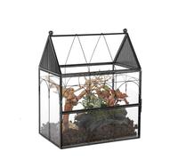 NCYP Glass Enclosure with Vent Holes for Jumping Spiders, Insect, Snails - Front Opening Door Terarium - House Shape, Home Indoor Decor, Black 19 x 12.5 x 23 CM (No Plants)