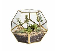 Vintage Geometric Glass Terrarium - Perfect for Succulents, Brass Frame Display