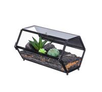 NCYP Mini Glass Enclosure Terrarium with Mesh & Door for Jumping Spiders, Small Insect Habitat - Hexagon Shape Terrarium 20 x 12 x 10.8 CM, Indoor Decor, Black (Plants Not Include)