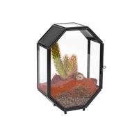 NCYP Mini Glass Insect Enclosure with Vent and Door for Cacti, 12.7 x 6 x 17.8 CM Octagon Shape Small Closed Geometric Plants Terrarium, Black Indoor Tabletop Decor (Terrarium Only)