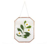 NCYP Wall Hanging 20.5x25.5 cm Octagon Herbarium Rose Gold Pure Copper Glass Floating Frame for Pressed Flowers, Dried Flowers, Glass Frame Only