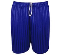 ND Sports Boy's Shadow Stripe Medium Royal Shorts, M