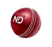 ND Sports Incrediball Cricket Ball - Pack of 1, 3, or 6 - Red & White Durable Practice & Training Ball - Ideal for Net Practice & Match Play (Pack 1, Red)