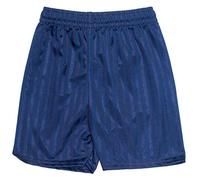 ND Sports School Gym Games Shadow Stripe Shorts for 13-14 Years, Navy, One Size
