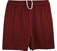 ND Sports School Shadow Stripe PE Shorts for Adult, Large, Maroon