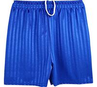 ND Sports School Shadow Stripe PE Shorts for Adult, Large, Royal Blue