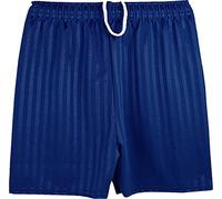 ND Sports School Shadow Stripe PE Shorts for Adult, Medium, Navy Blue, OCP-ShadowsStripe2 N-Blue Adult M